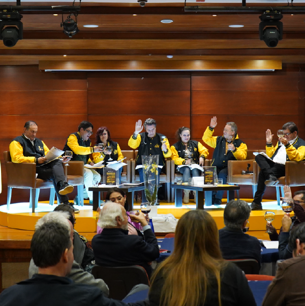 INANDES: historia de un capítulo