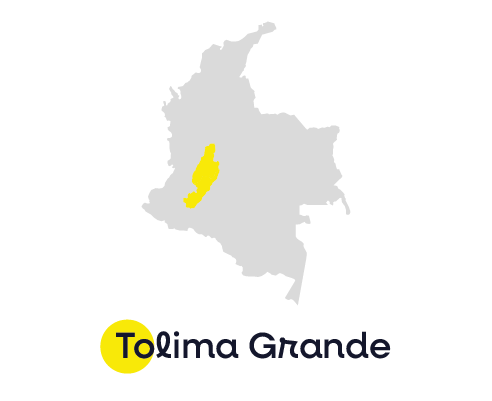 Tolima grande-1