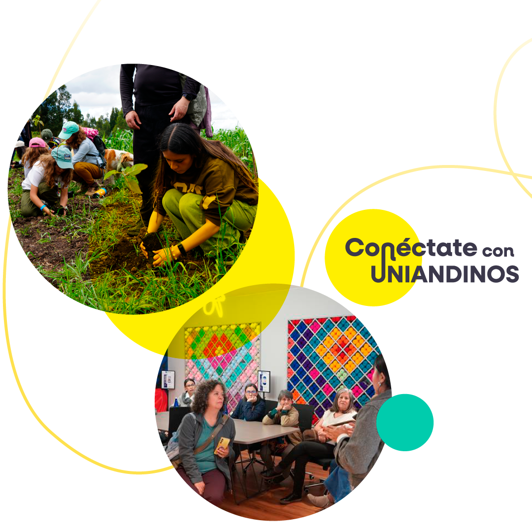 hero-boletines hero-boletines